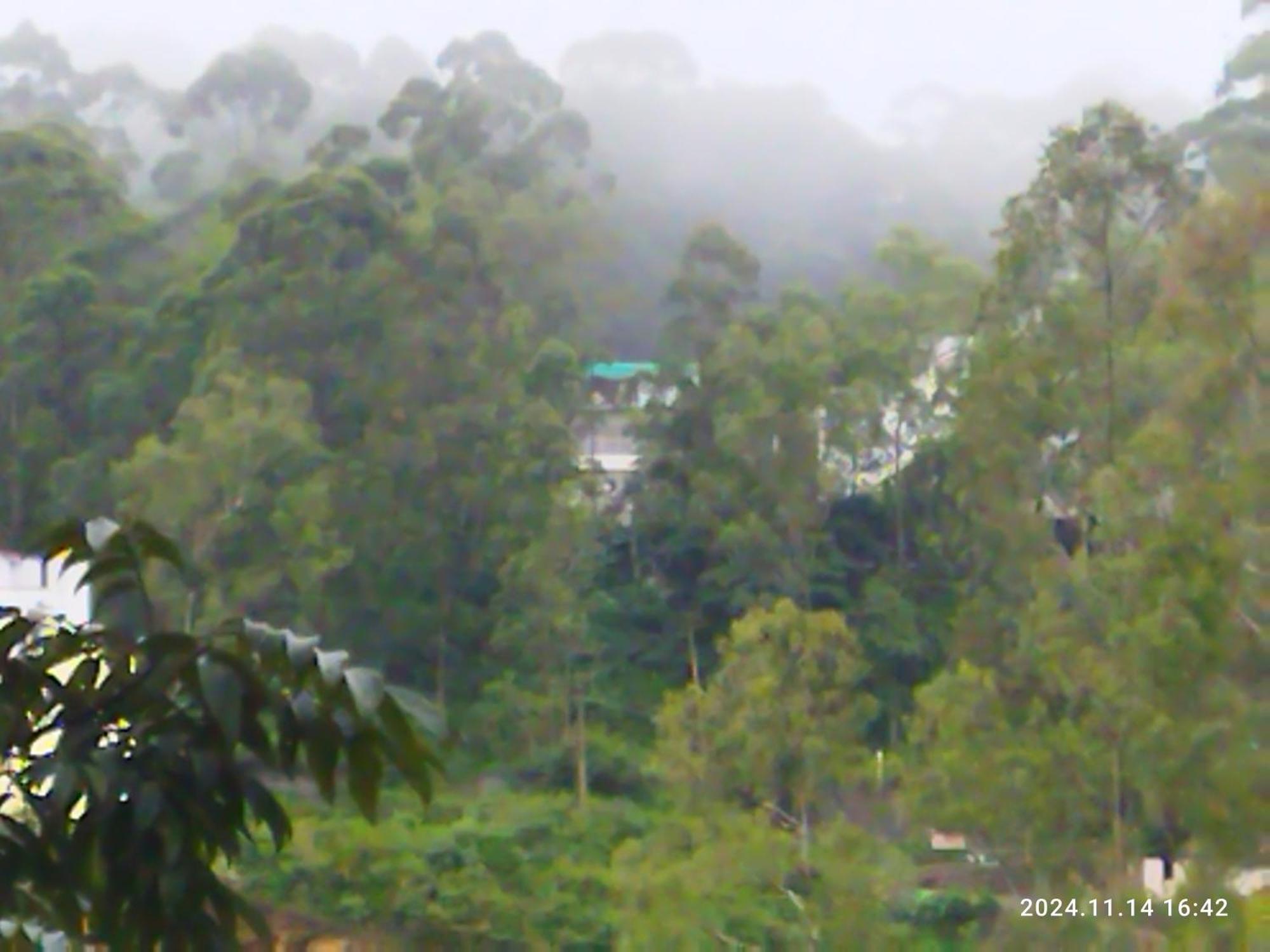 Apartment Magic Mist Yercaud